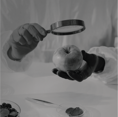 სურსათის უვნებლობა