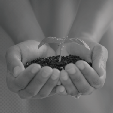 გარემოს დაცვა